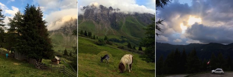 Enzianhuette-Zirog-familienfreundliche-Almhuette-in Südtirol